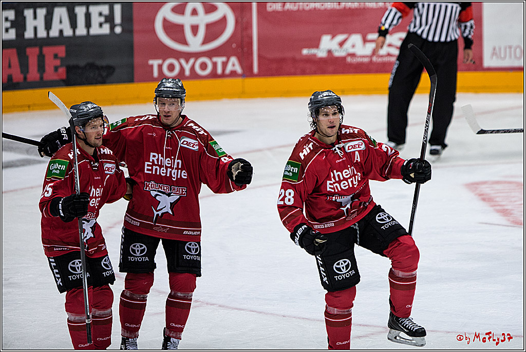 Koelner Haie - Straubing Tigers, 03.10.2016
